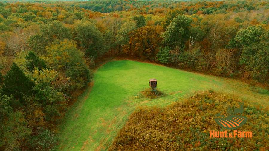 Still 2025-11-29 081237_1.50.1.jpg